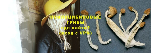 прущая мука Арсеньев