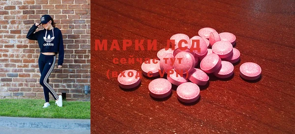 прущая мука Арсеньев